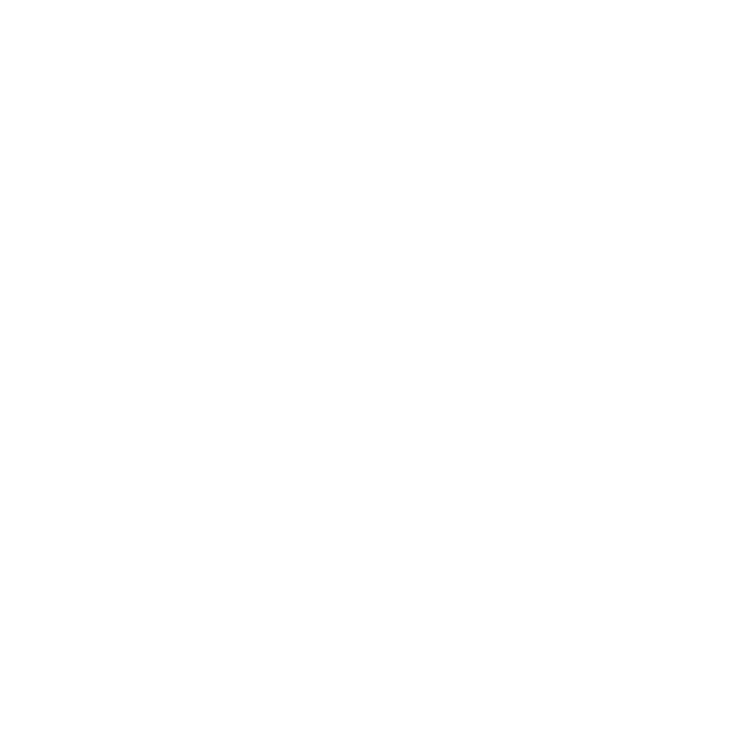 אלטשולר