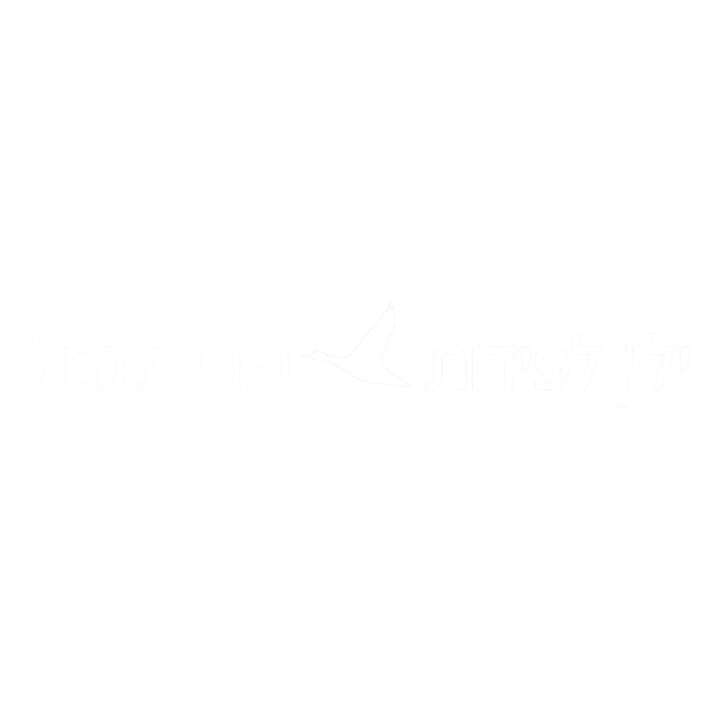 ילין לפידות